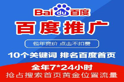 SEO策略在电商平台的成功应用案例